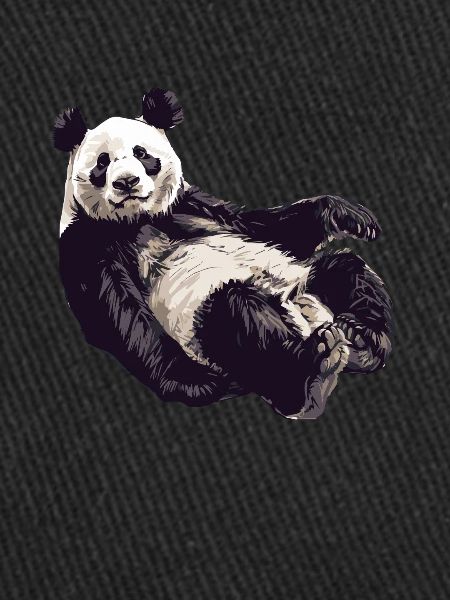 Panda Ours Panda géant japonais