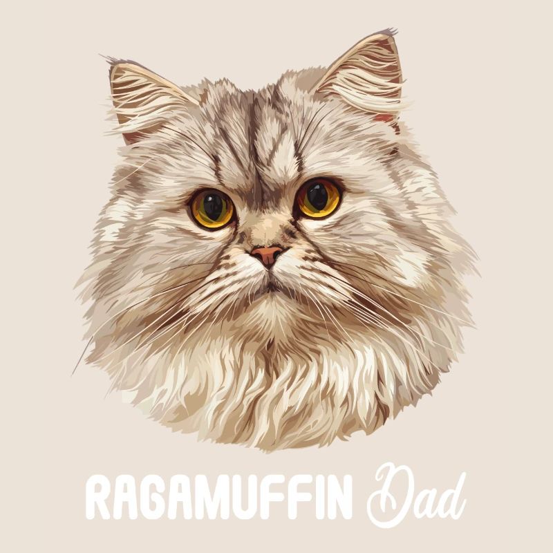 Ragamuffin Kätzchen Ragamuffin Katze