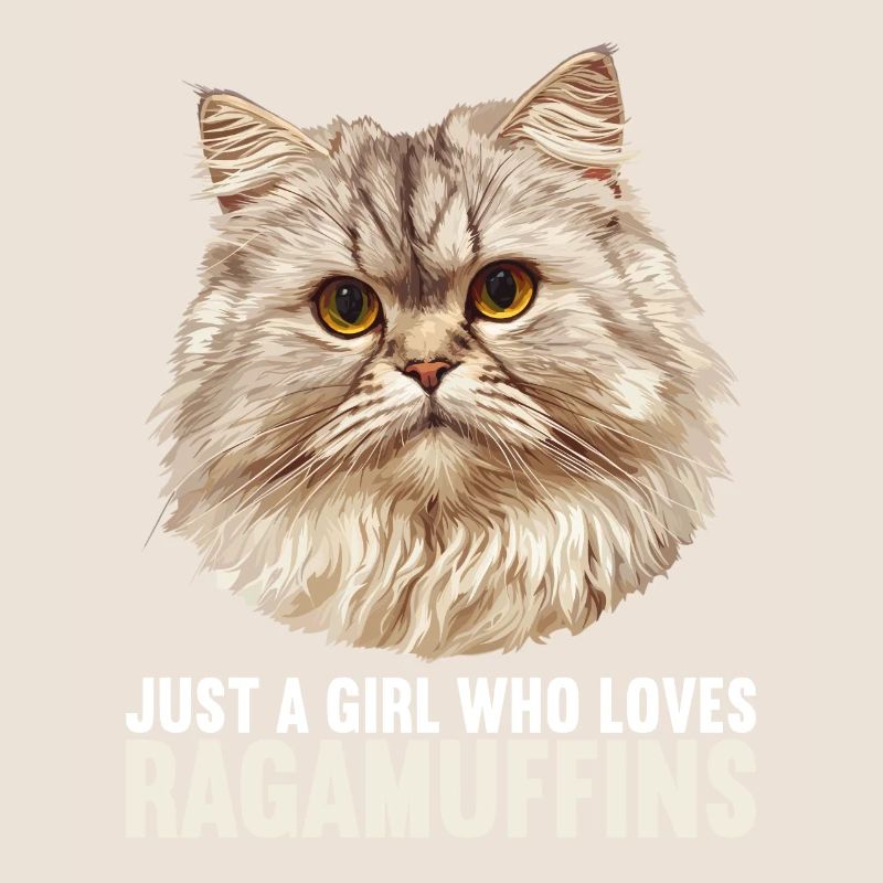 Ragamuffin Kätzchen Ragamuffin Katze