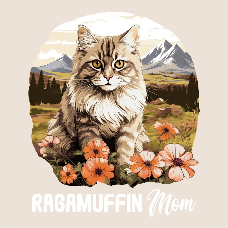 Ragamuffin Kätzchen Ragamuffin Katze