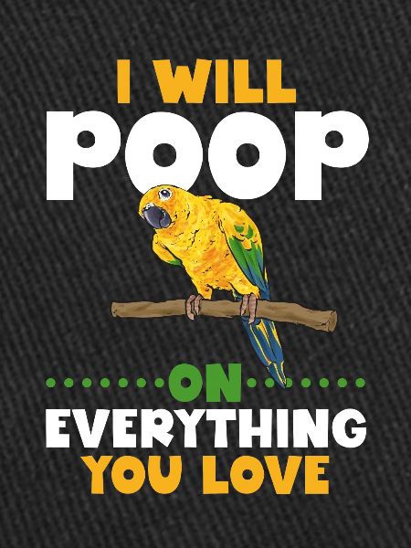Parakeet Parrot Parakeet Bird