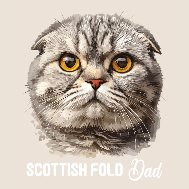 Scottish Fold Kätzchen Scottish Fold Katze