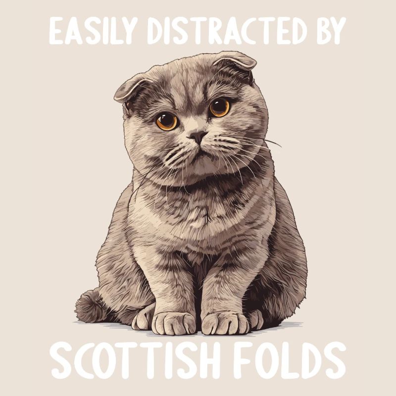 Scottish Fold Kätzchen Scottish Fold Katze