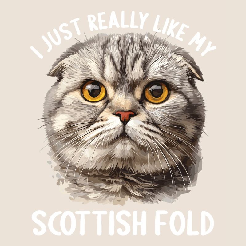 Scottish Fold Kätzchen Scottish Fold Katze
