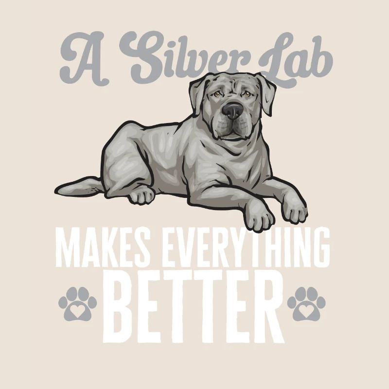 Silver Labrador Retriever Silver Lab