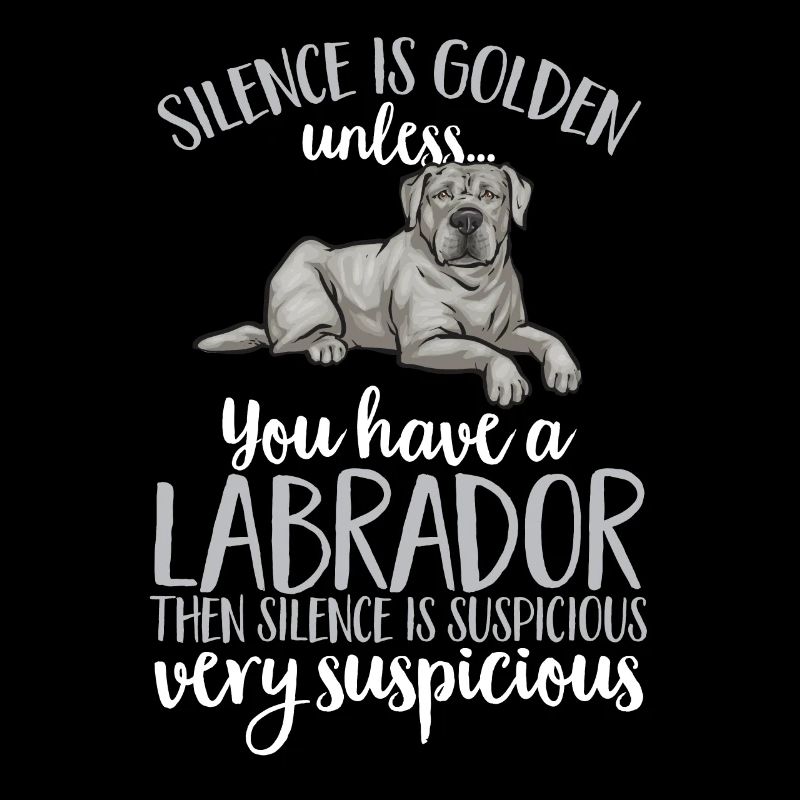 Silver Labrador Retriever Silver Lab