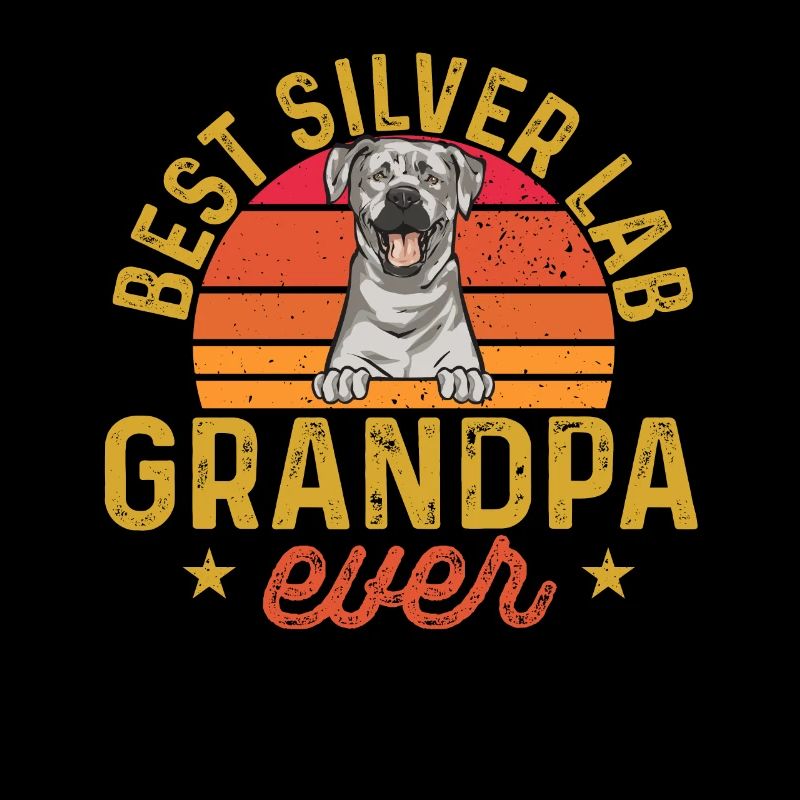 Silver Labrador Retriever Silver Lab