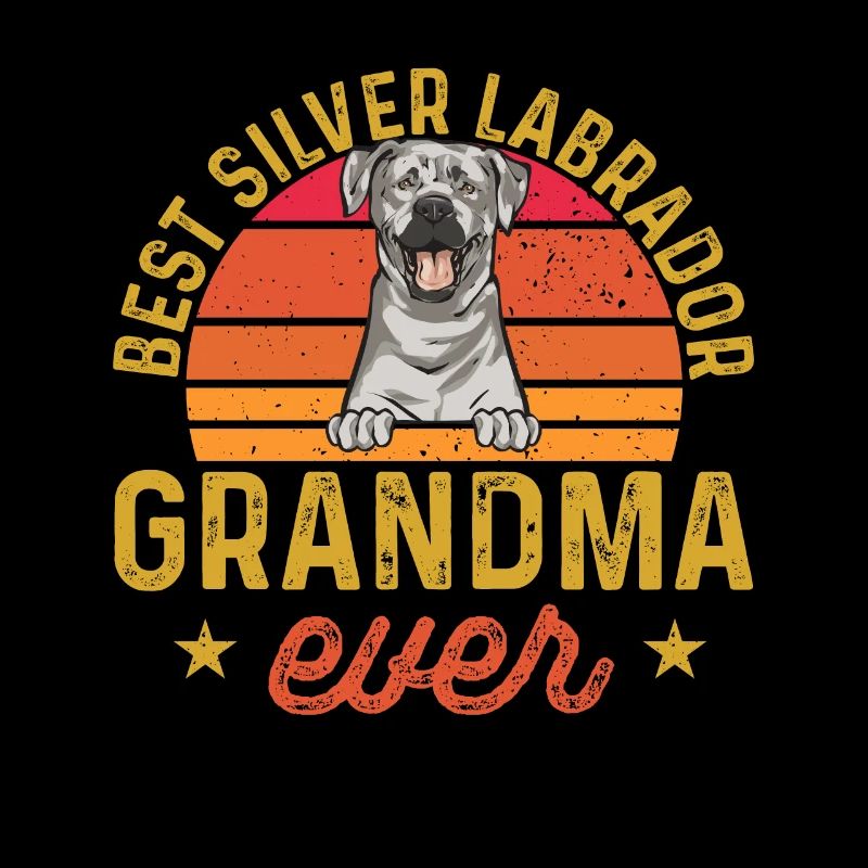 Silver Labrador Retriever Silver Lab