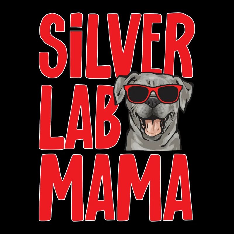 Silver Labrador Retriever Silver Lab