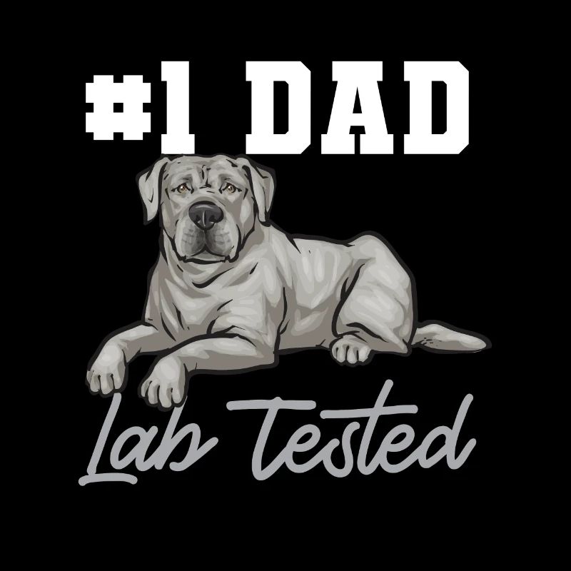 Silver Labrador Retriever Silver Lab