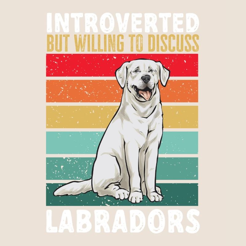 Labrador Retriever blanc Labrador Labrador blanc