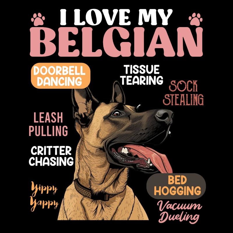 Belgian Shepherd LOVE MY BELGIAN MALINOIS