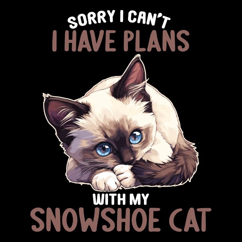 Snowshoe Kitten Snowshoe Cat