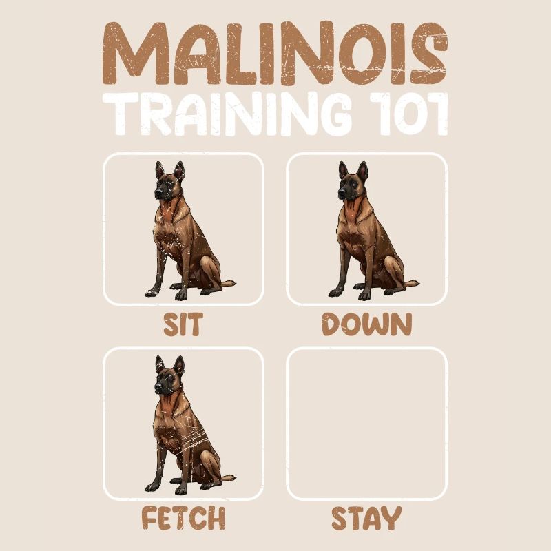 MALINOIS TRAINING 101 Berger Belge