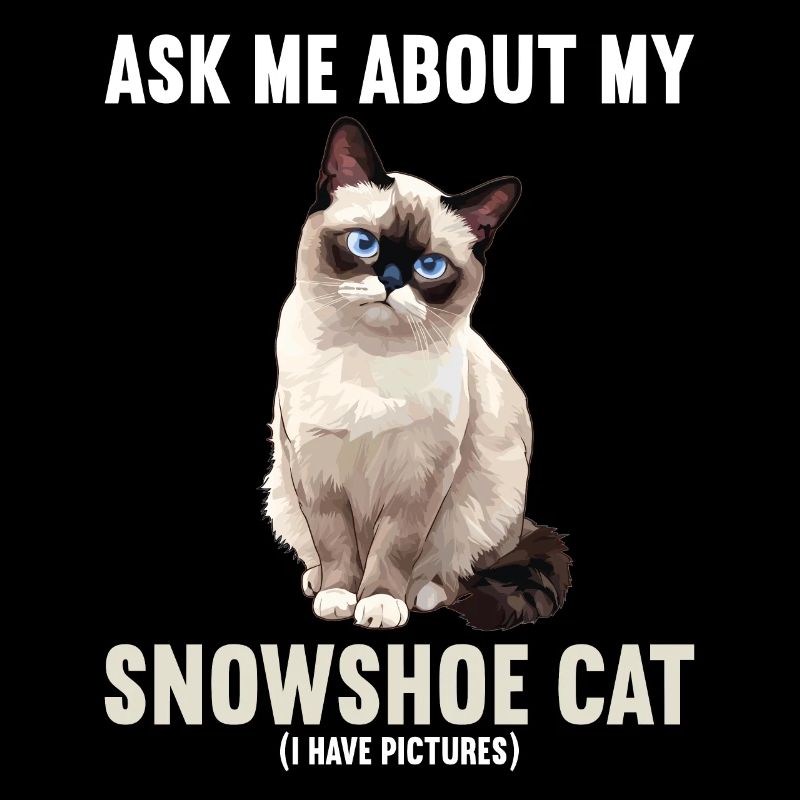 Snowshoe Kitten Snowshoe Cat
