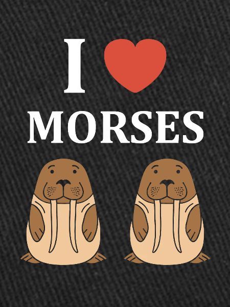 Animal humour Morse