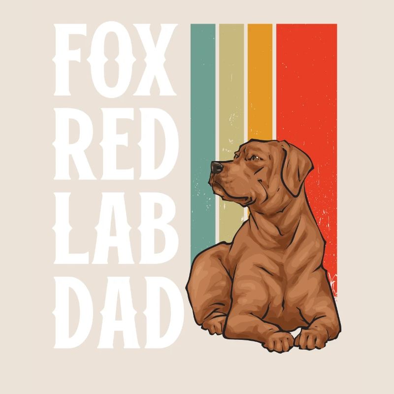 Fuchsroter Labrador Retriever Fox Red Labrador