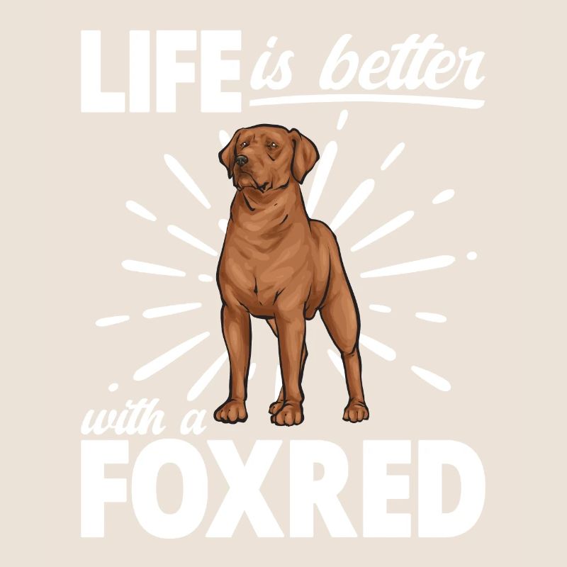 Fuchsroter Labrador Retriever Fox Red Labrador