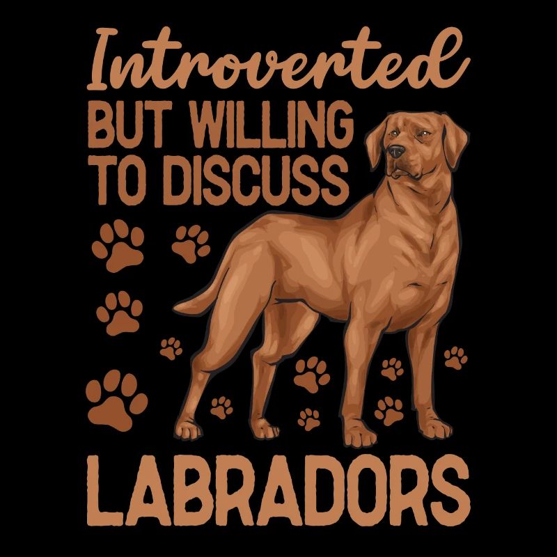 Fuchsroter Labrador Retriever Fox Red Labrador