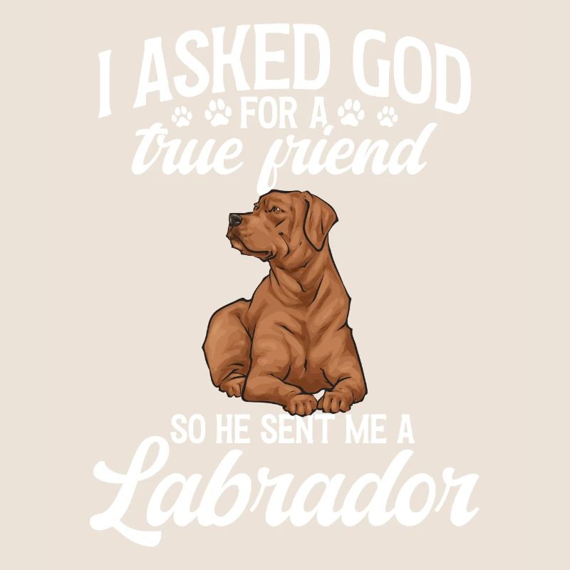 Fuchsroter Labrador Retriever Fox Red Labrador