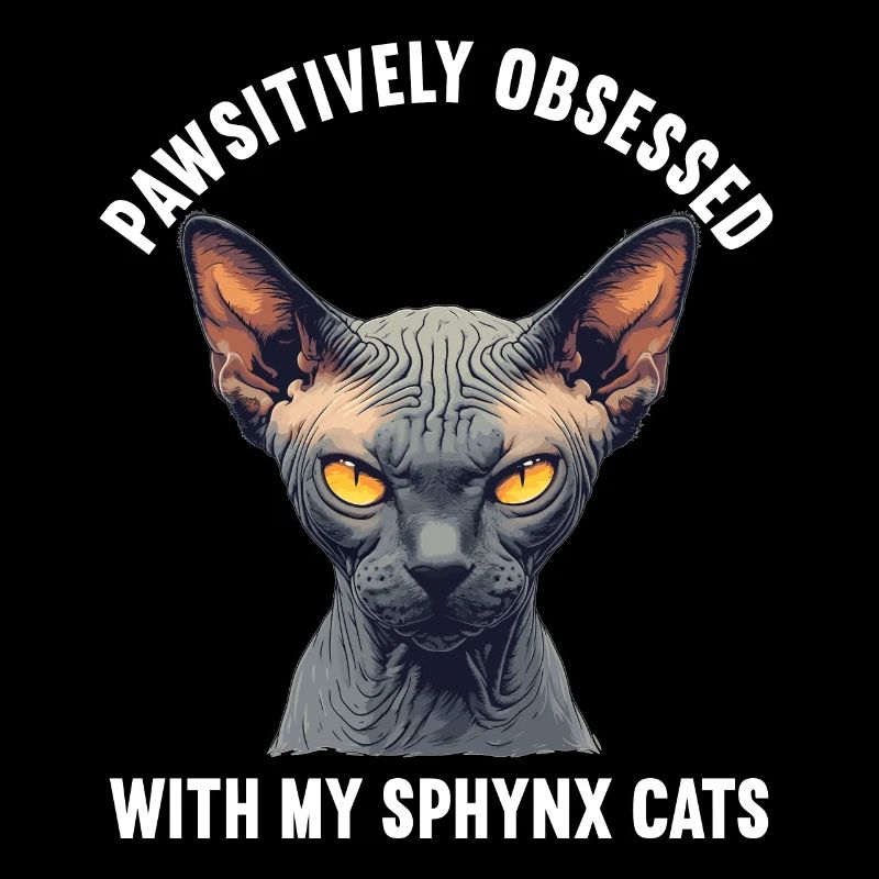 Chaton Sphynx Chat Sphynx