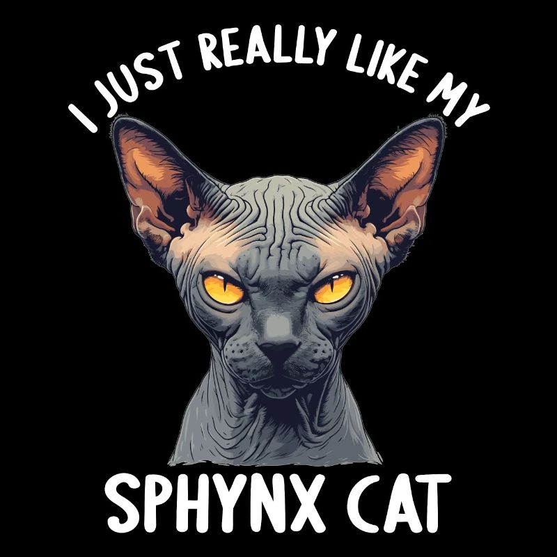 Chaton Sphynx Chat Sphynx
