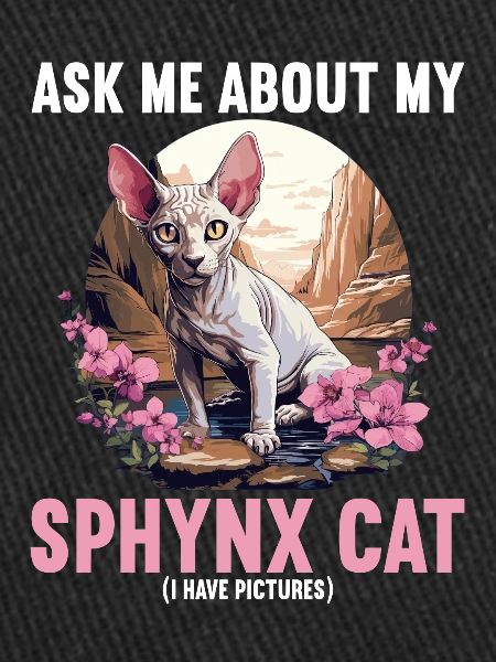 Sphynx Kitten Sphynx Cat