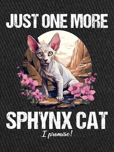 Chaton Sphynx Chat Sphynx