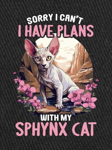Chaton Sphynx Chat Sphynx