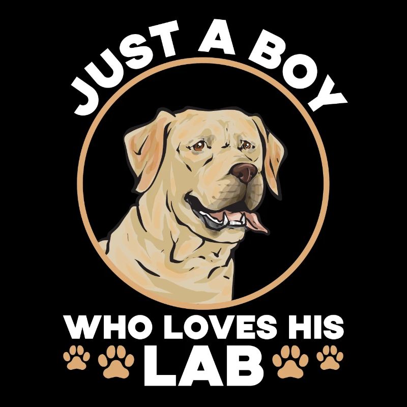 Labrador Retriever jaune