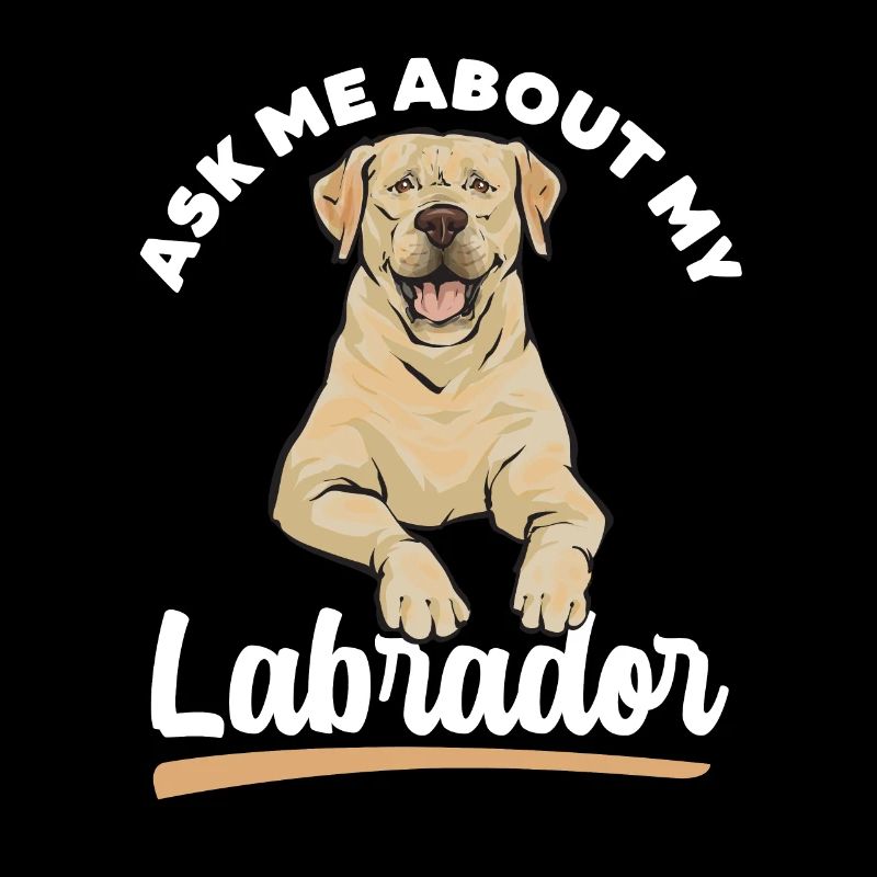 Labrador Retriever jaune
