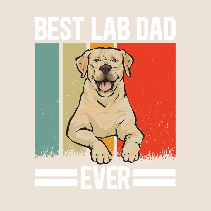 Labrador Retriever jaune