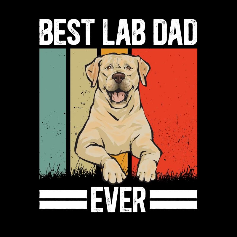 Labrador Retriever jaune