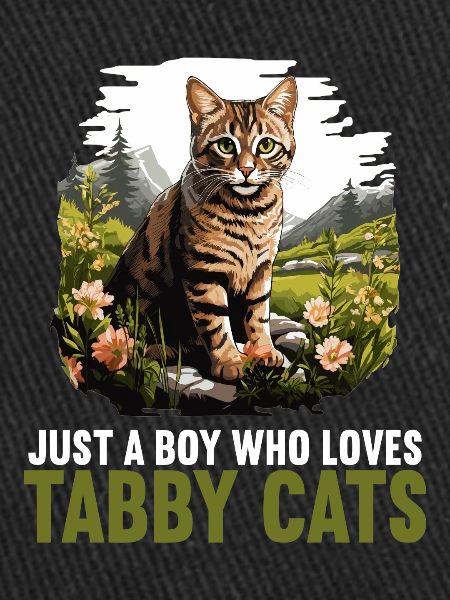 Tabby Kitten Tabby Cat