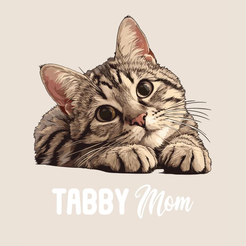 Tabby Kätzchen Tabby Katze