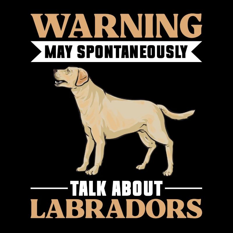 Labrador Retriever jaune