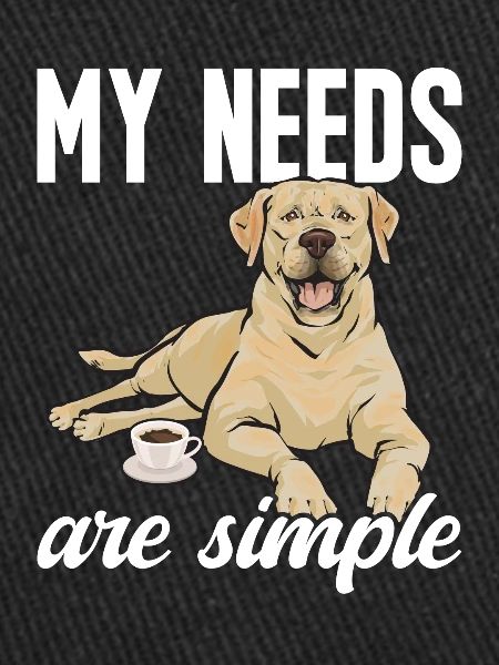 Labrador Retriever jaune