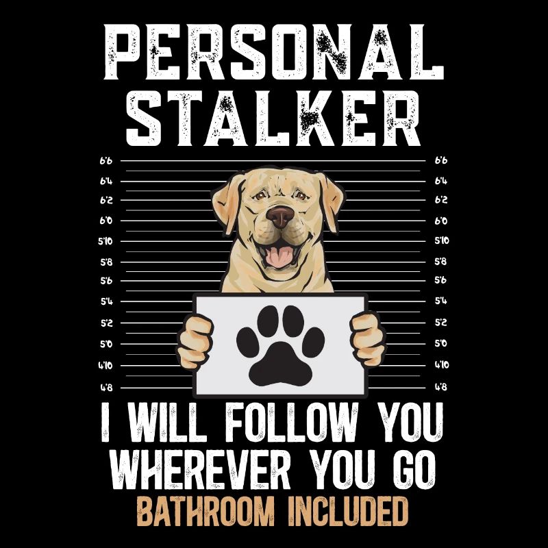 Labrador Retriever jaune