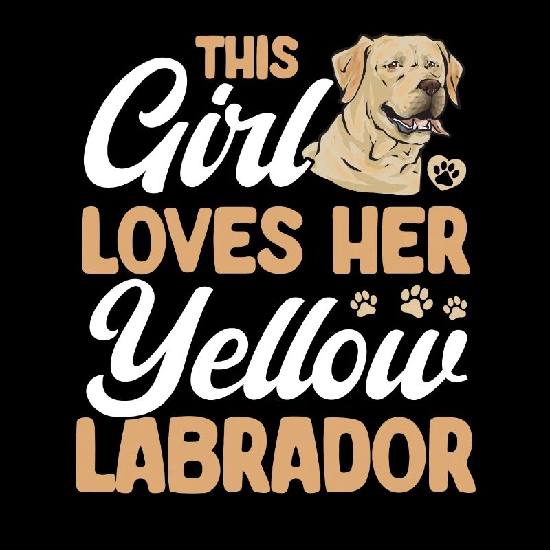 Labrador Retriever jaune