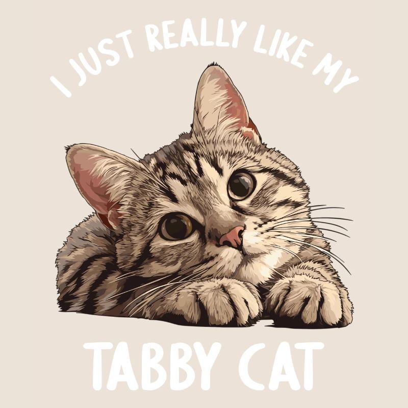 Tabby Kätzchen Tabby Katze