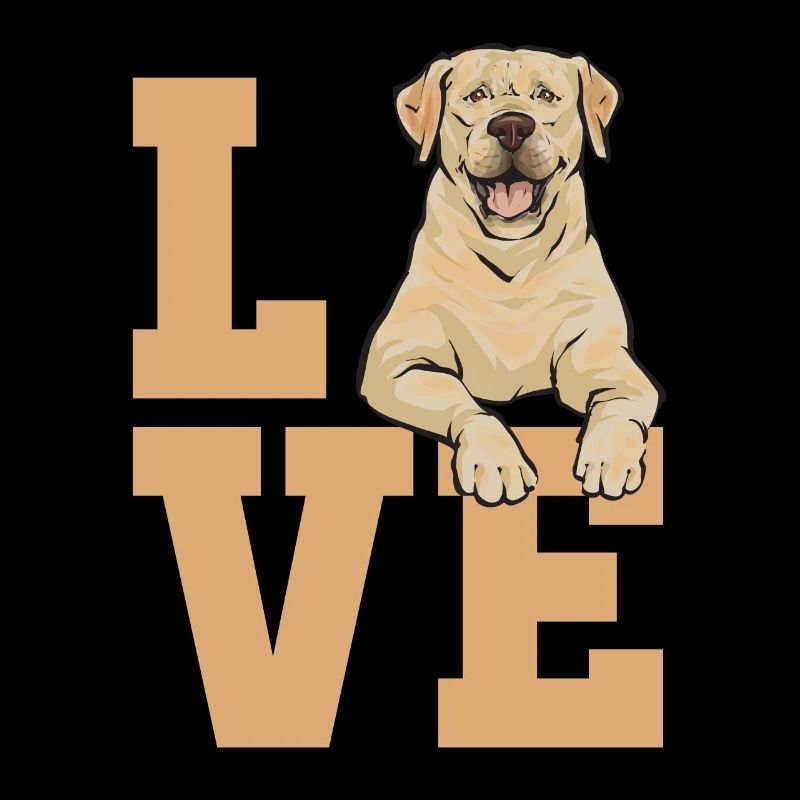 Labrador Retriever jaune