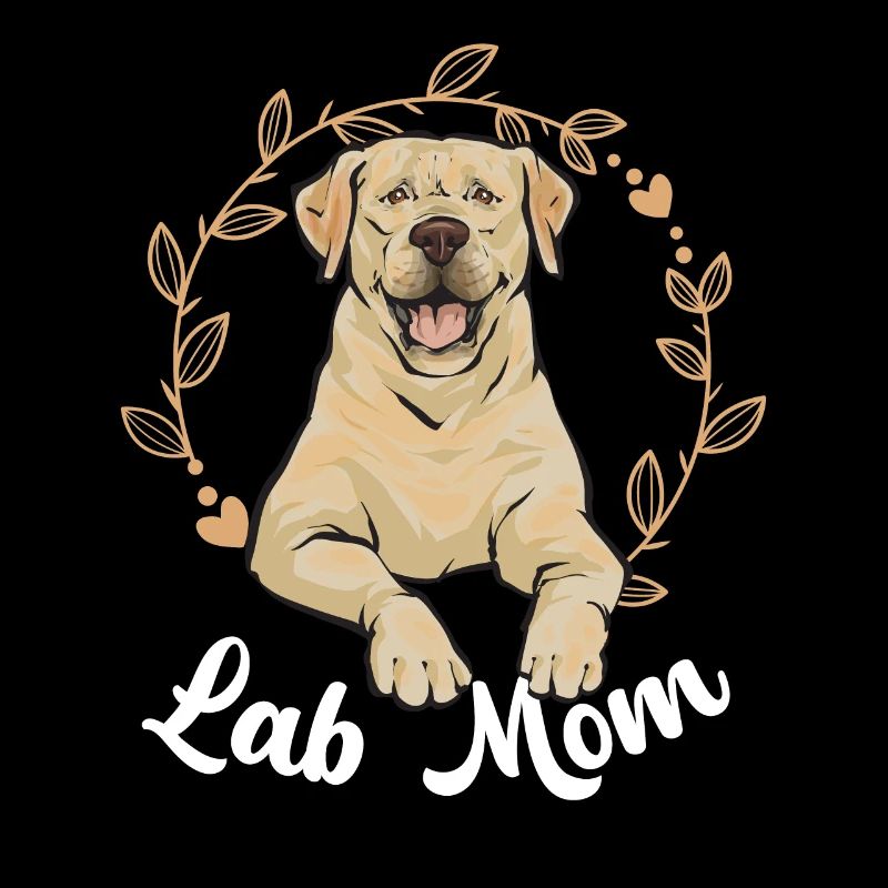 Labrador Retriever jaune