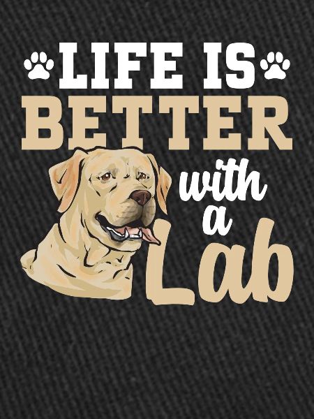Yellow Labrador Retriever