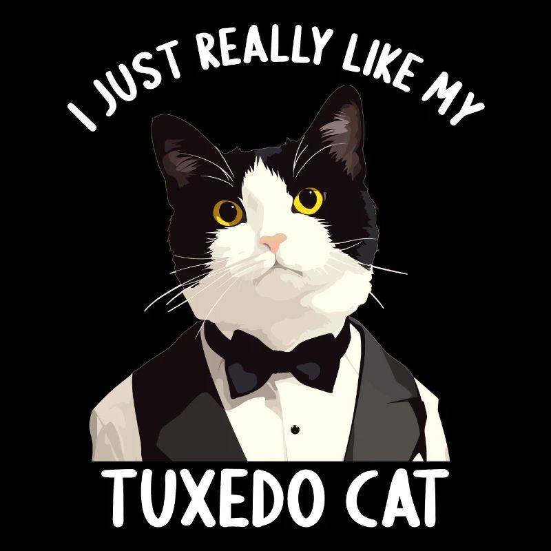 Tuxedo Kitten Tuxedo Cat