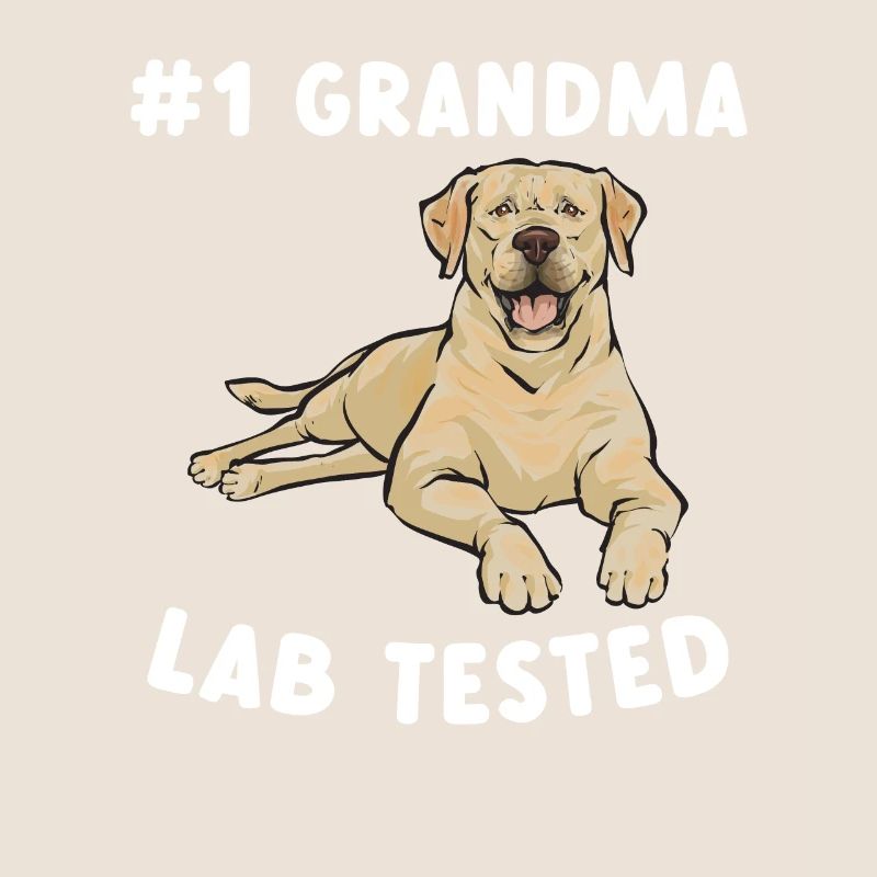 Labrador Retriever jaune