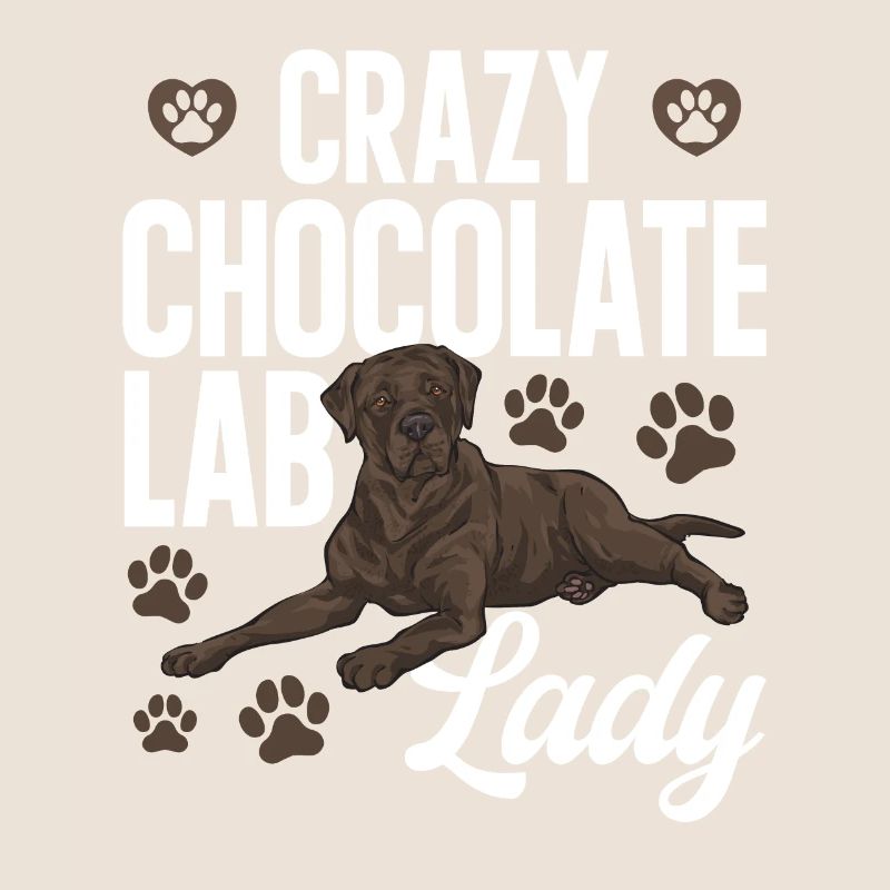 Chien Labrador Retriever Brun Chocolat