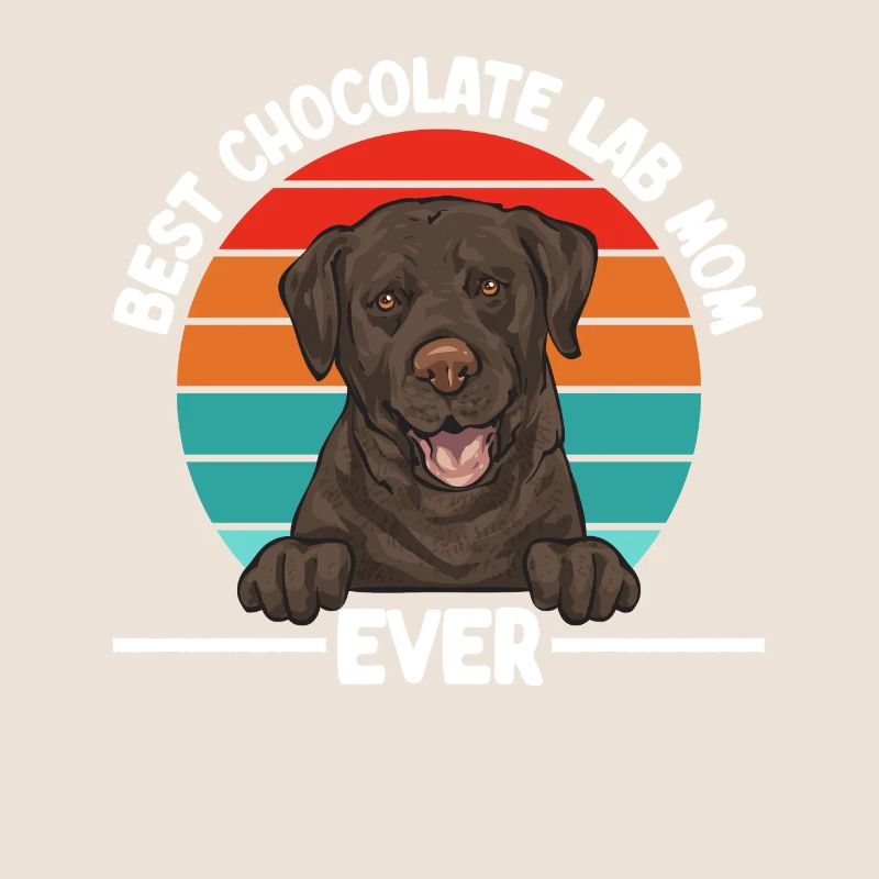 Chien Labrador Retriever brun chocolat