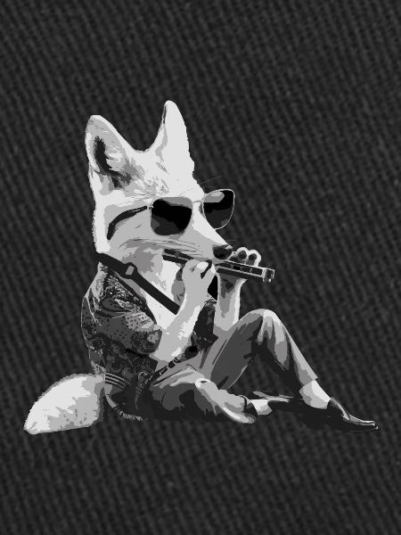 Cadeau de jeu d’harmonica Fox