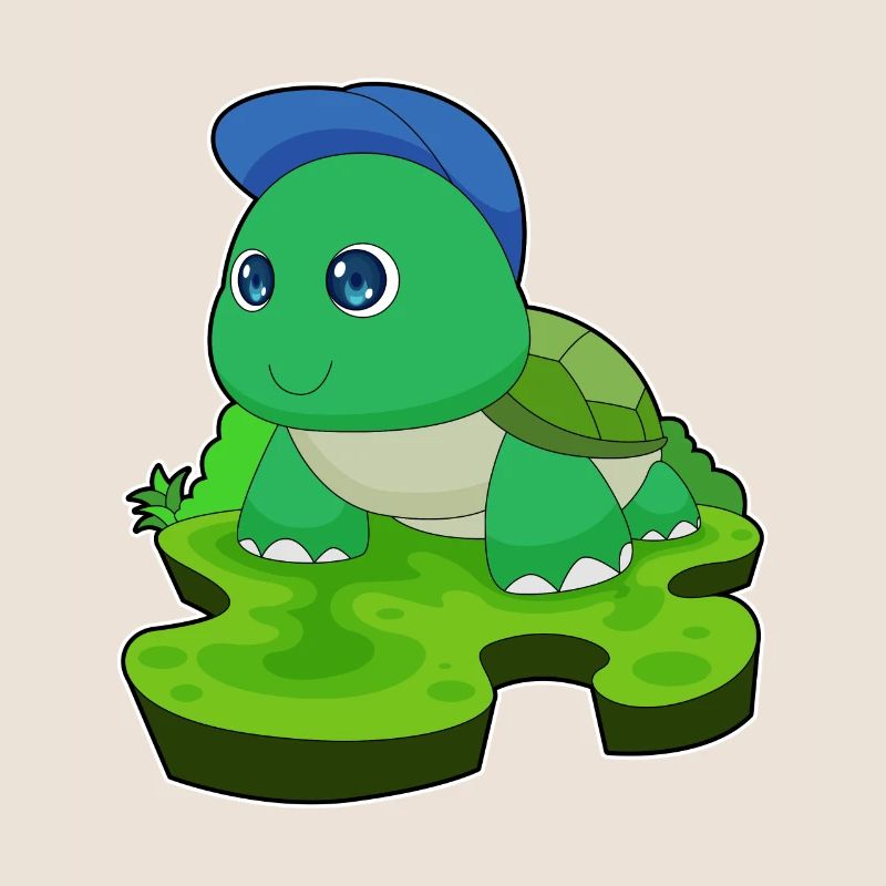 Tortoise Student Cap School