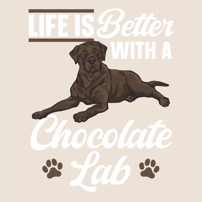 Chien Labrador Retriever brun chocolat